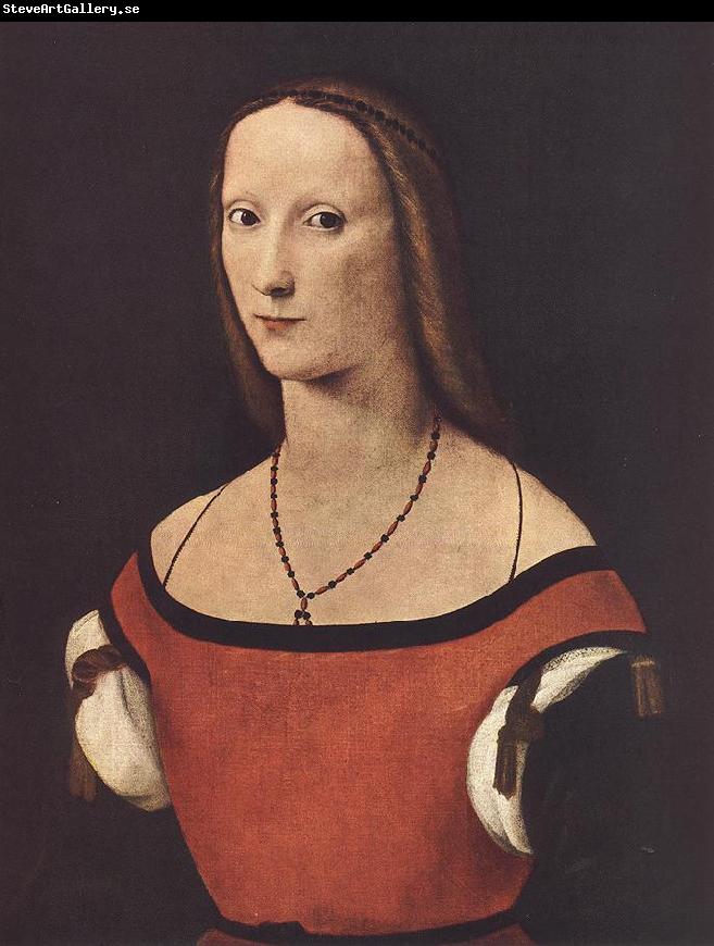 COSTA, Lorenzo Portrait of a Woman  dfgdf